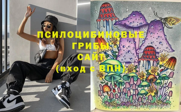 МДПВ Волосово