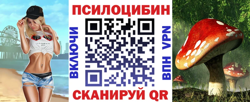 Псилоцибиновые грибы ЛСД  магазин продажи   маркетплейс клад  Новошахтинск 
